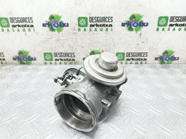 EGR Seat Leon 1.9 TDI (1M) (1999-2006) 150CV (110 KW) - 20761 / ARL