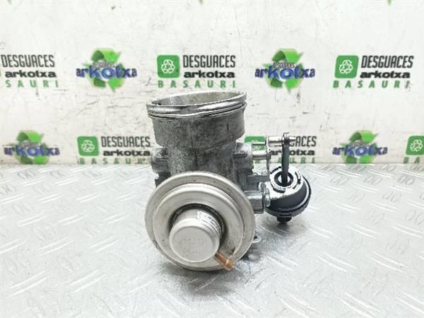 EGR Seat Leon 1.9 TDI (1M) (1999-2006) 150CV (110 KW) - 20761 / ARL