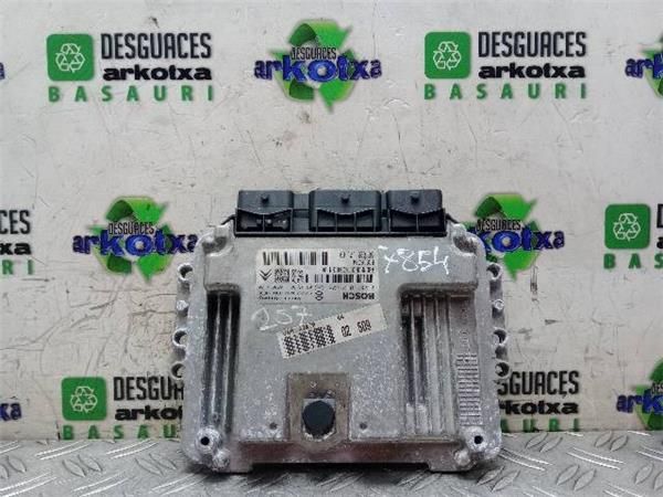 CENTRALITA MOTOR UCE Peugeot 207 1.4 HDI (WC) 68CV (2006-2015) (50 KW) - 20794 / 8HZ
