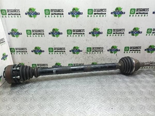 TRANSMISION DEL. DCHA. Volkswagen Golf 1.9 TDI IV (1J1) 110CV (1997-2004) (81 KW) - 21544 / AHF