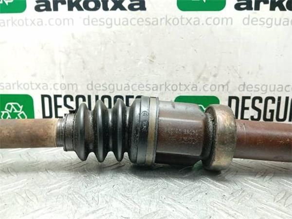 TRANSMISION DEL. DCHA. Ford Focus 1.6 G I SEDAN (DFW) 100CV (1999-2004) (74 KW) - 25417 / FYDB