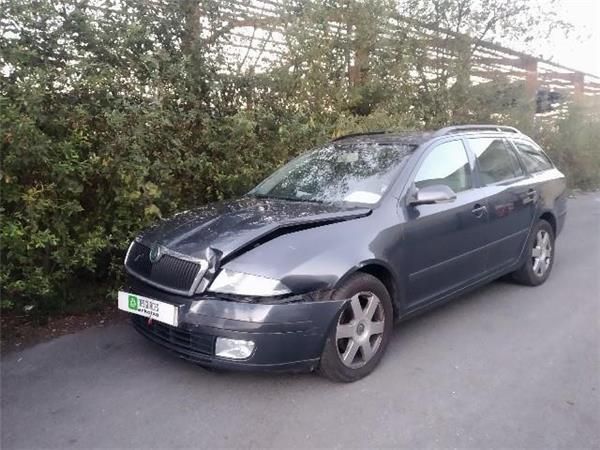 MOTOR ELEVALUNAS TRA. DCHO. Skoda Octavia 1.9 TDI COMBI (1Z5) (2004-2010) (77 KW) - 26406 / BXE