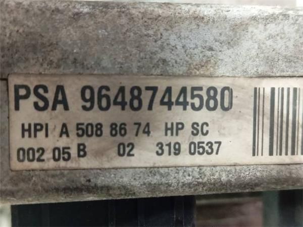 BOMBA DIRECCION ELECTRICA Peugeot 307 2.0 HDI (3C) 107CV (2000-2007) (79 KW) - 29300 / RHS