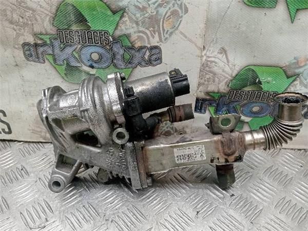 EGR Renault Scenic 1.9 DCI II (120CV) (2003 2006) (88 KW) - 31208 / F9Q D8 2
