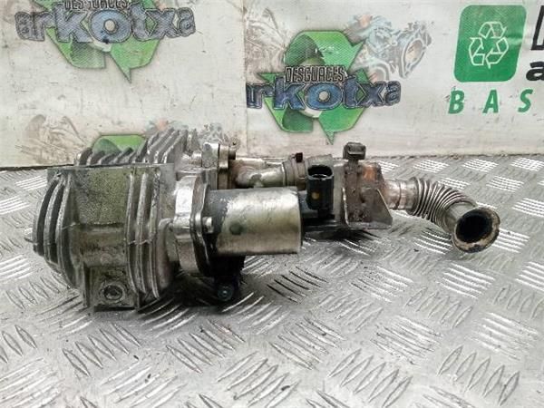 EGR Renault Scenic 1.9 DCI II (120CV) (2003 2006) (88 KW) - 31208 / F9Q D8