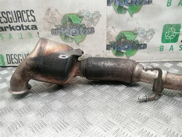 CATALIZADOR Volkswagen Golf 1.9 TDI V (1K1) 105CV (2003-2008) (77 KW) - 31612 / BKC