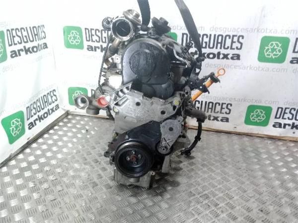 MOTOR COMPLETO Skoda Octavia 1.9 TDI II (105CV) (2004 2010) (77 KW) - 32244 / BJB