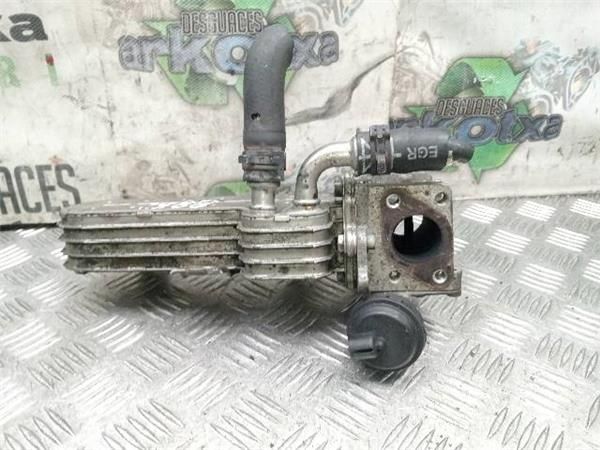 EGR Volkswagen Golf 1.9 TDI V (1K1) 105CV (2003-2008) (77 KW) - 33549 / BKC