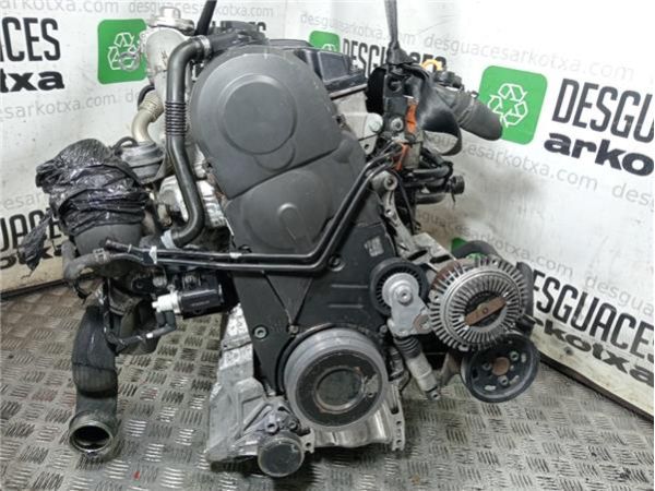 MOTOR COMPLETO Volkswagen Passat Berlina (3B3)(2000-) 1.9 Comfortline [1,9 Ltr. - 96 kW TDI] - 36011 / HBH_3B3