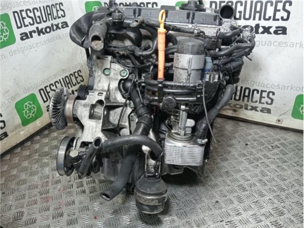 MOTOR COMPLETO Volkswagen Passat Berlina (3B3)(2000-) 1.9 Comfortline [1,9 Ltr. - 96 kW TDI] - 36011 / HBH_3B3