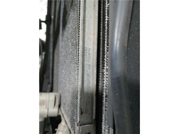 FRONTAL COMPLETO Audi A6 - 36137 / ZSTE220BH10