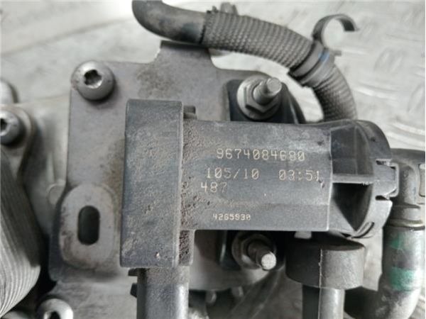 ENFRIADOR ACEITE Peugeot 207 1.6 HDI (92CV) (11/2009 - 12/2012) (68 KW) - 36149 / 320003