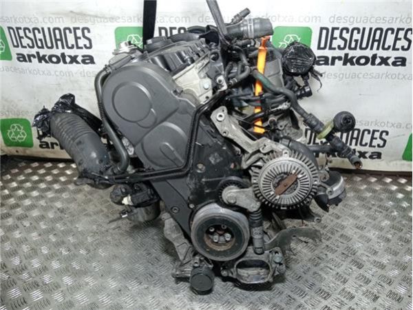 MOTOR COMPLETO Volkswagen Passat Berlina (3B3)(2000-) 1.9 Trendline [1,9 Ltr. - 96 kW TDI] - 36180 / 80HBH V300