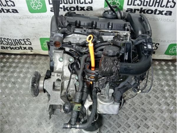 MOTOR COMPLETO Volkswagen Passat Berlina (3B3)(2000-) 1.9 Trendline [1,9 Ltr. - 96 kW TDI] - 36180 / 80HBH V300