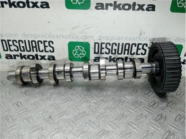 ARBOL DE LEVAS Volkswagen Passat Berlina (3B3)(2000-) 1.9 Trendline [1,9 Ltr. - 96 kW TDI] - 36289 / 038109111E 2