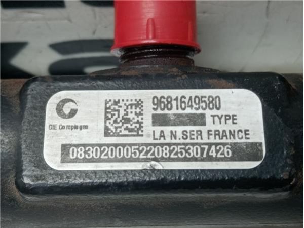 RAMPA INYECTORES Citroen C4 2.0 HDI PICASSO (UD) 136CV (2006-2013) (100 KW) - 39865 / 9681649580