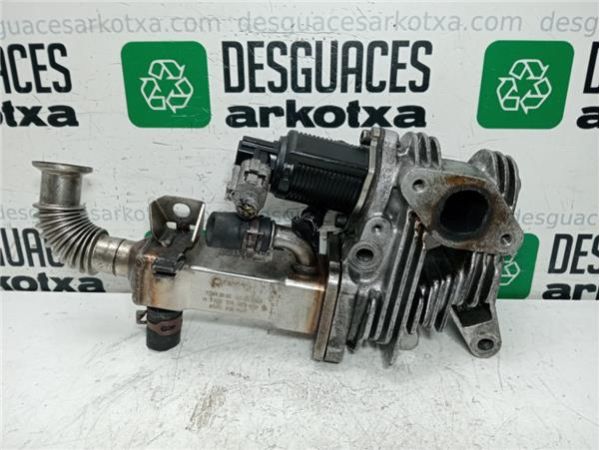 EGR Renault Scenic 1.9 DCI II ( 120CV) (04/2004 - 05/2006) (88 KW) - 40164 / 8200316949   7700107471