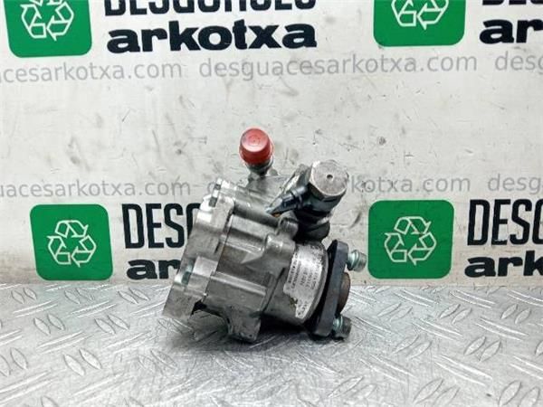 BOMBA SERVODIRECCION Volkswagen Passat 1.9 TDI (B5) (3B2) 110CV (1996-2000) (81 KW) - 26690 / AFN/AVG