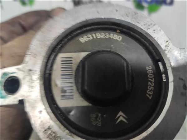 BOMBA SERVODIRECCION Citroen XSARA - 8996 / WJZ