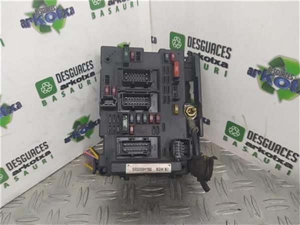 CAJA FUSIBLES/RELE Peugeot 206 - 9939