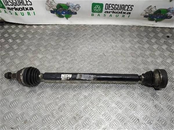 TRANSMISION DEL. DCHA. Seat Leon 1.9 TDI (1P) (2005-2012) 105CV (77 KW) - 14097 / BXE