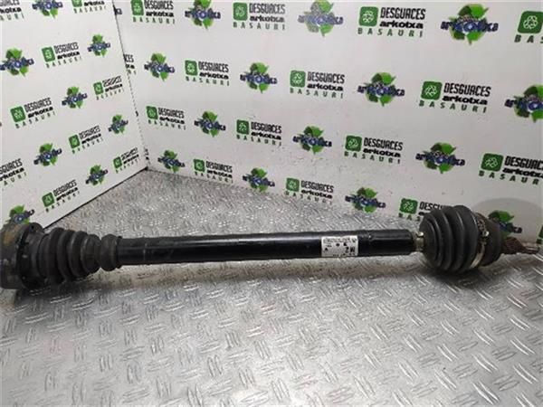TRANSMISION DEL. DCHA. Volkswagen Bora 1.9 TDI (1J2) (1998 - 2005) (81 KW) - 14099 / ASV