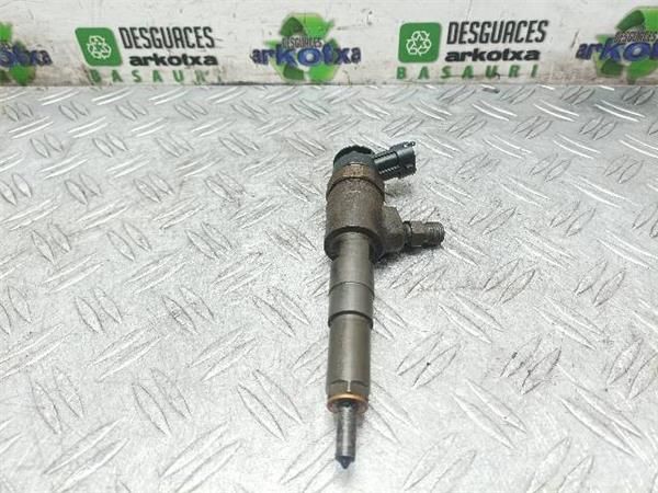 INYECTOR Citroen C3 1.4 HDI (1995-2010) (50 KW) - 17074 / 8HZ