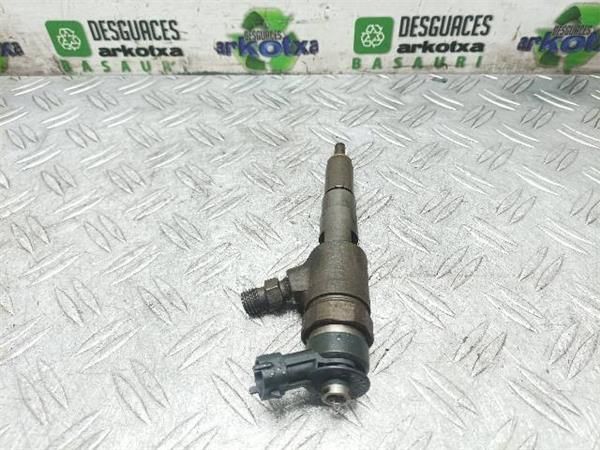 INYECTOR Citroen C3 1.4 HDI (1995-2010) (50 KW) - 17074 / 8HZ 2