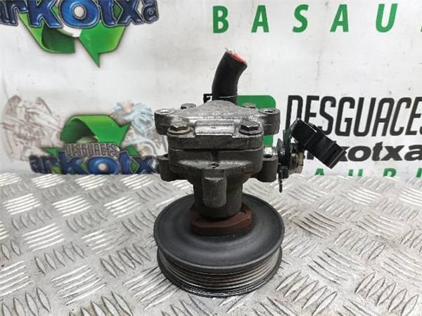 BOMBA SERVODIRECCION Volkswagen Bora 1.6 G (1J) 105CV (2000-2005) (77 KW) - 19546 / BCB